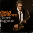 David Sanborn&nbsp;-&nbsp;Here and gone