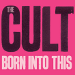 The Cult&nbsp;-&nbsp;Born into this - Edition limitée