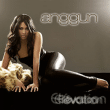 Anggun&nbsp;-&nbsp;Elevation