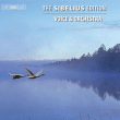 Jean Sibelius