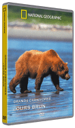 National Geographic&nbsp;-&nbsp;Les Grands carnivores : L'Ours brun