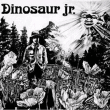 Dinosaur Jr&nbsp;-&nbsp;Dinosaur Jr