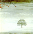 Wind and wuthering
