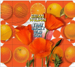 Brian Wilson&nbsp;-&nbsp;That lucky old sun - Edition deluxe inclus DVD