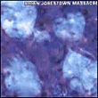 The Brian Jonestown Massacre&nbsp;-&nbsp;Methodrone