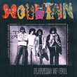 Mountain&nbsp;-&nbsp;Flowers of evil