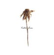 Patrick Watson&nbsp;-&nbsp;Wooden arms
