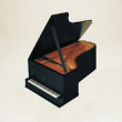 Maurizio Pollini, Martha Argerich, Wilhelm Kempff, Vladimir Horowitz&nbsp;-&nbsp;Steinway legends Grande Edition - Coffret de 21 CD