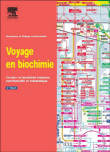 Voyage en biochimie