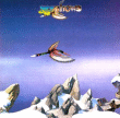 Yes&nbsp;-&nbsp;Yes shows
