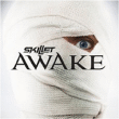 Skillet&nbsp;-&nbsp;Awake