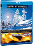 Rêves d'hivers - Blu-Ray