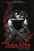 Indochine, l'ombre des mots