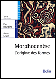 Morphogenèse&nbsp;-&nbsp;P. Bourgine, A. Lesne
