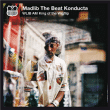 Madlib&nbsp;-&nbsp;Wlib am king of the wigflip
