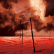 Pelican&nbsp;-&nbsp;What we all come to need