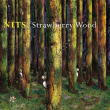 The Nits&nbsp;-&nbsp;Strawberry wood