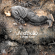 Anathallo&nbsp;-&nbsp;Canopy glow