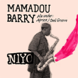 Mamadou Barry&nbsp;-&nbsp;N niyo