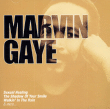 Marvin Gaye&nbsp;-&nbsp;Collection