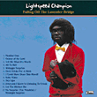 Lightspeed Champion&nbsp;-&nbsp;Falling off the lavender