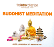 Buddhist meditation
