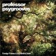 prof psygroove