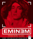 The way I am&nbsp;-&nbsp;Eminem