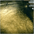 Aabsinthe&nbsp;-&nbsp;In search of light