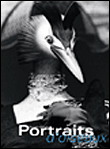 Portraits d'oiseaux&nbsp;-&nbsp;Jean-Marc Pichery