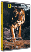 National Geographic&nbsp;-&nbsp;Les Grands félins