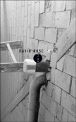 Milo&nbsp;-&nbsp;David Bosc