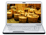 Toshiba Satellite A500 18T 16