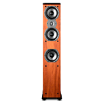 Polk TSi400