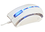 TnB Souris Optique Guppy 