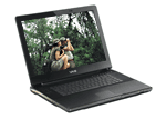 Sony Vaio VGN-AR71ZU 17" TFT Blu-Ray - Ordinateur portable