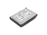 Lenovo disque dur - 1 To - SATA-300