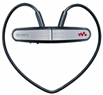 Sony NWZ-W202 noir 2 Go