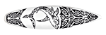 Dane-Elec Maori 2 Go USB 2.0