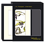 Yellow Korner Tulipes&nbsp;-&nbsp;Anna Halm Schudel