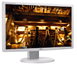 Iiyama ProLite B2409HDS-W1 24