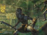 image de Donjons & Dragons Online Stormreach