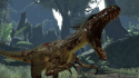 image de Turok