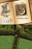 image de 
