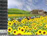 image de Pro Cycling Manager