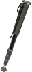 Vanguard monopod AP244