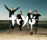 Tryo