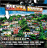 Compilation reggae