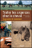 Traiter les urgences du cheval