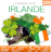 Compilation musique irlandaise